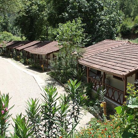 Eco Family Park Beskonak Exterior photo