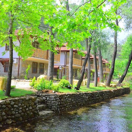 Eco Family Park Beskonak Exterior photo