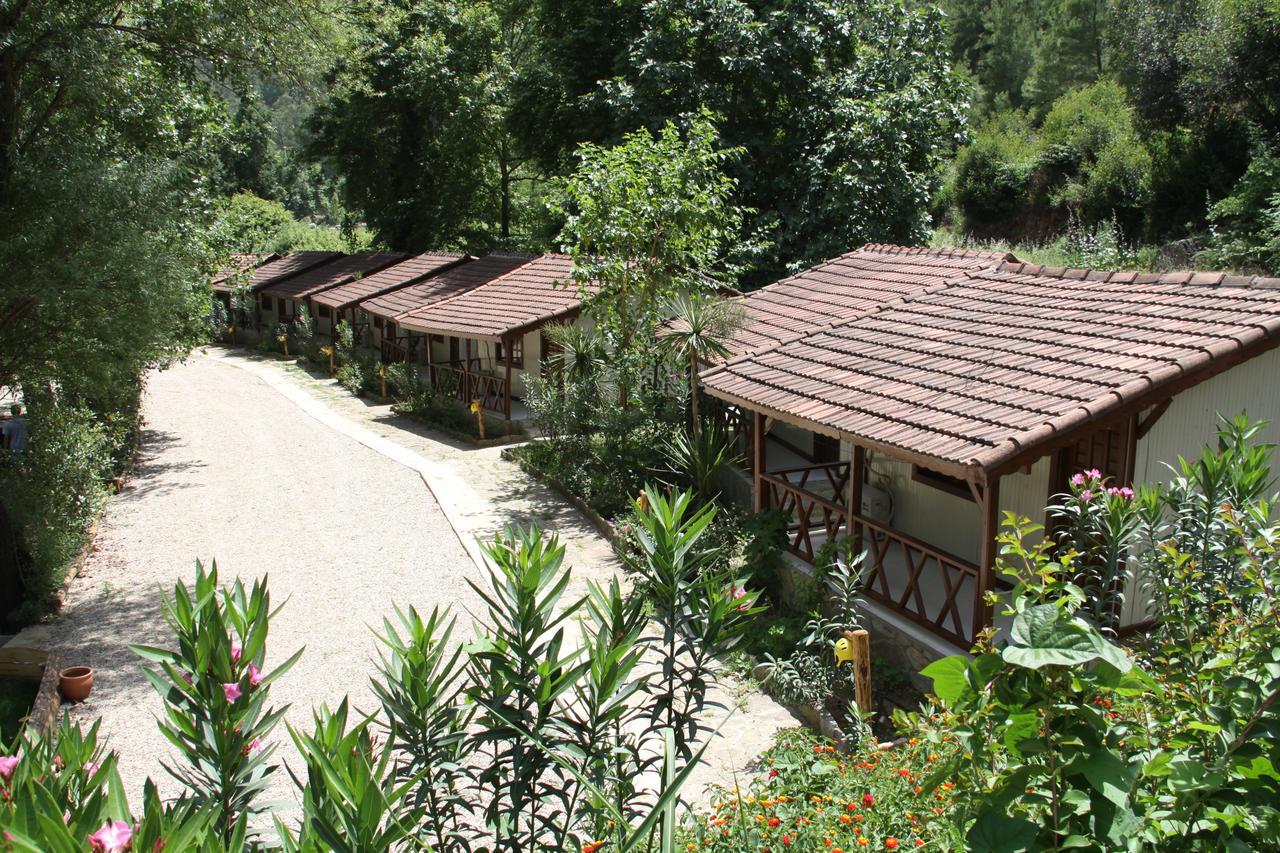 Eco Family Park Beskonak Exterior photo