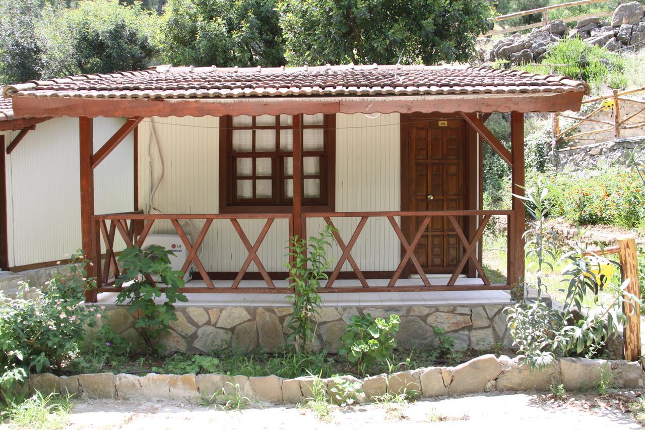 Eco Family Park Beskonak Room photo